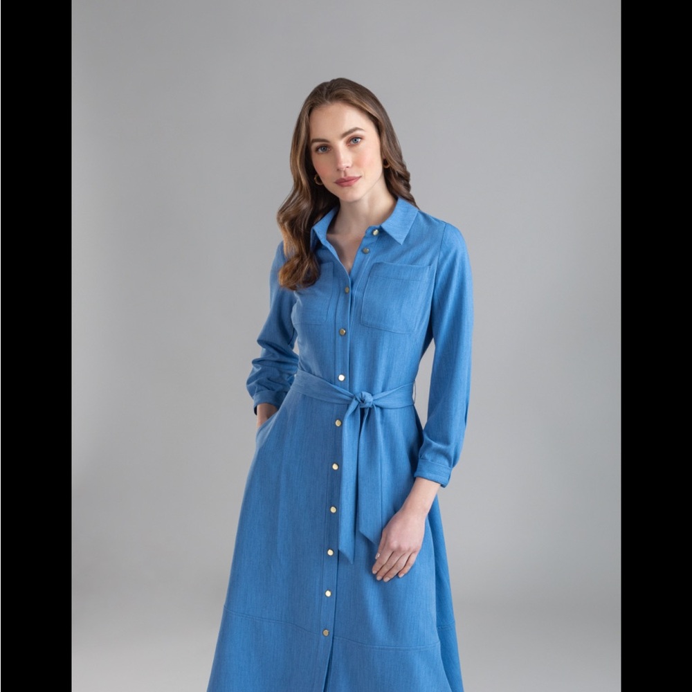 Shoshanna Button-Up Dress